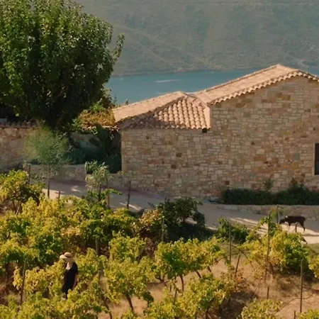 The Vineyard - Pasithea Szpartohóri